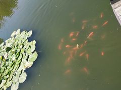 -前关湿地公园