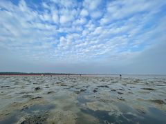 -红树林天天赶海