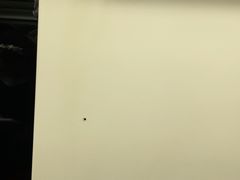 -维尔纳斯·生日蛋糕·动物奶油冰淇淋蛋糕(六里桥店)