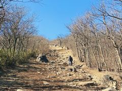 -安吉龙王山风景区