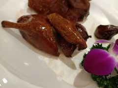 -四季海鲜酒楼·粤菜·早茶·宴会(南山中心区店)