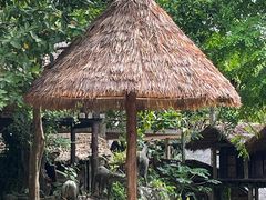 -海南槟榔谷黎苗文化旅游区