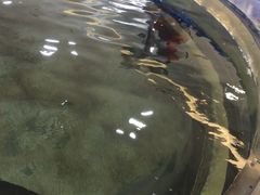 -鸿通城购物中心