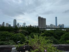 -狐尾山公园