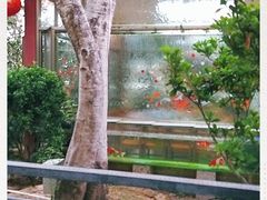-大地土窑菜馆·特色罗浮农家菜(罗浮山景区店)