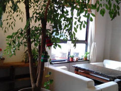 android_upload_pic-瓦库19(历下店)