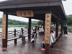 -荷塘月色湿地公园·向阳花洲
