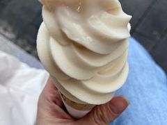 -溪边姑娘·拉丝酸奶水果捞(春熙路店)