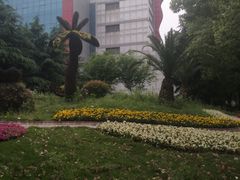 -双季花艺园艺市场(浦东店)