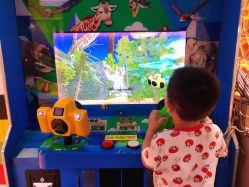 -卡通尼·Safari非洲探索乐园·生日会(金桥国际商业广场店)