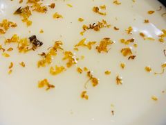 杏仁豆腐-锅儿挑面馆