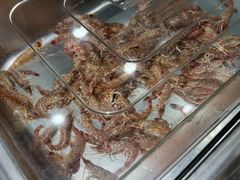-北海田螺店(四川路店)