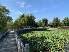 -青龙湖公园