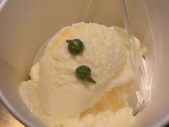 花椒冰淇淋-烤匠麻辣烤鱼(环球中心店)