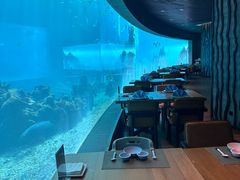 -涛·海底餐厅·美人鱼·自助餐·海底隧道(三亚海棠湾洲际度假酒店)