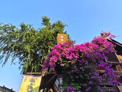 -中天楼