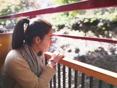-岚山嵯峨野观光小火车