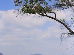-花岙岛