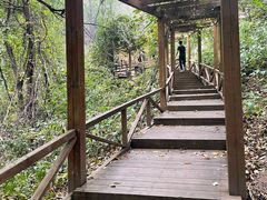 -大岭沟猕猴桃谷风景区