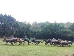 -广州雕塑公园
