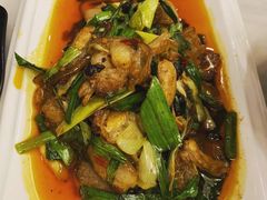 回锅肉-陈麻婆豆腐总店