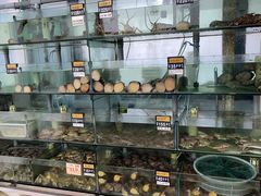 -春妮海味饭店·海景餐厅·海菜包子·大连海鲜
