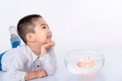 -贝克叔叔儿童摄影工作室(天时嘉园店)