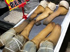 象鼻蚌-蚝专家(北滘店)