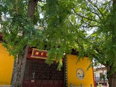-上海青龙寺