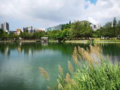 -四海公园(南山区)