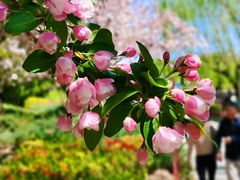 -元大都城垣遗址公园