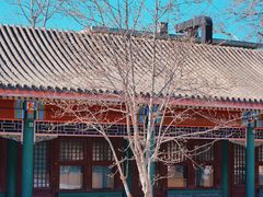 -国家图书馆·古籍馆