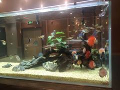 -黄鱼炙夜(华家池店)