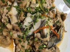 -东鸽皇(奥园·中环广场店)