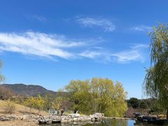 -北京西山国家森林公园