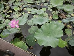 -北京宽沟会议中心