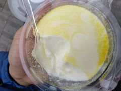 -德禄酸奶(莫家街店)