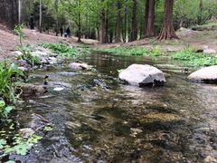 -白水寺森林公园