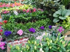 -秦美花卉(天朗·莱茵小城2期店)