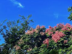 -狼山风景名胜区