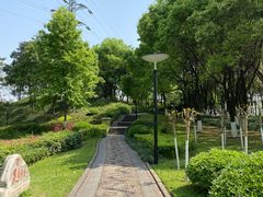 -重庆彩云湖湿地公园