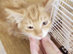 -平行世界·猫咖(首经贸店)