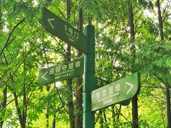 -柳鹭田园区