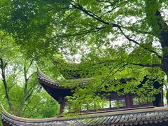 -西园戒幢律寺