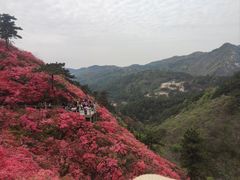 -木兰云雾山