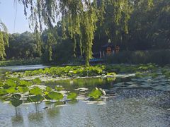 -北陵公园