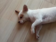 -MiRi明润眼镜·蔡司官方授权店(星光荟店)