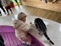 -萌宠亲子动物乐园(槐房万达店)