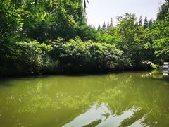 -同里国家湿地公园