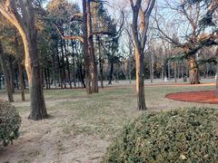 -清华大学-甲所餐厅